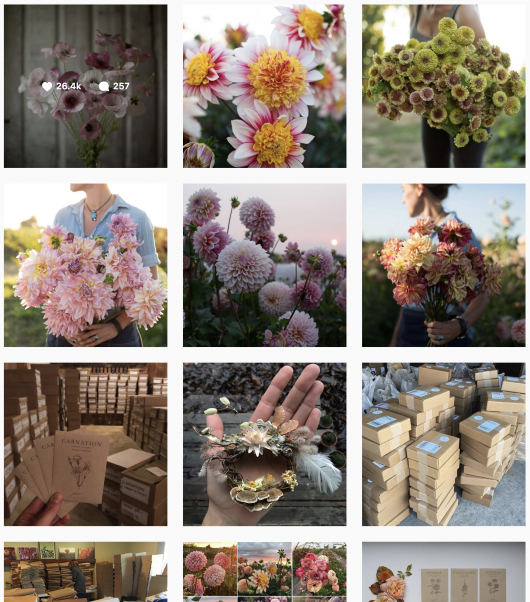 Florists On Instagram
