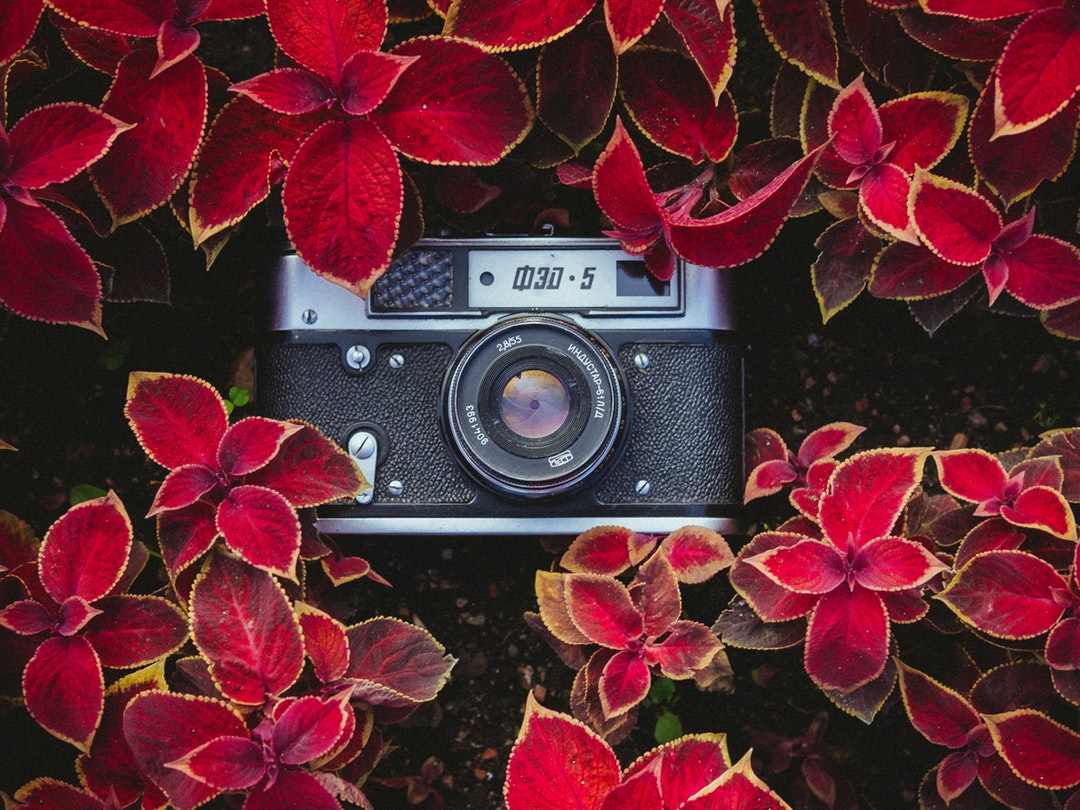 Floral Photography