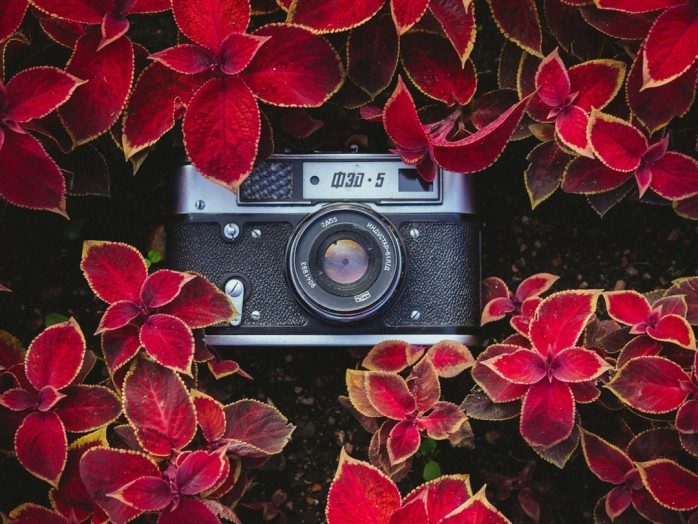 Floral Photography